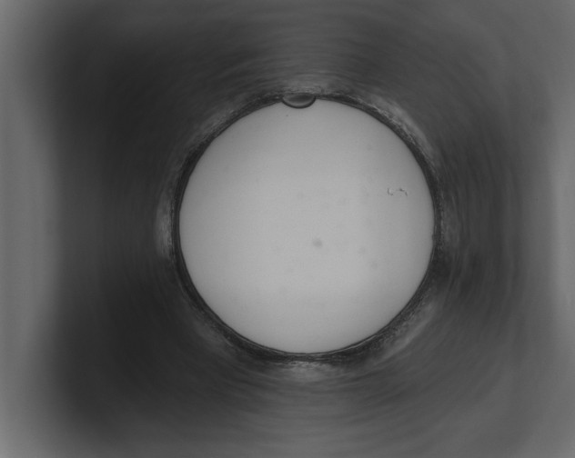 X0000100960393200807151403