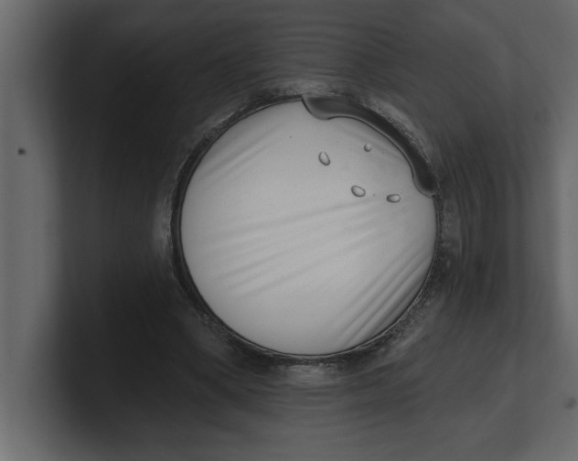 X0000100960394200807151403