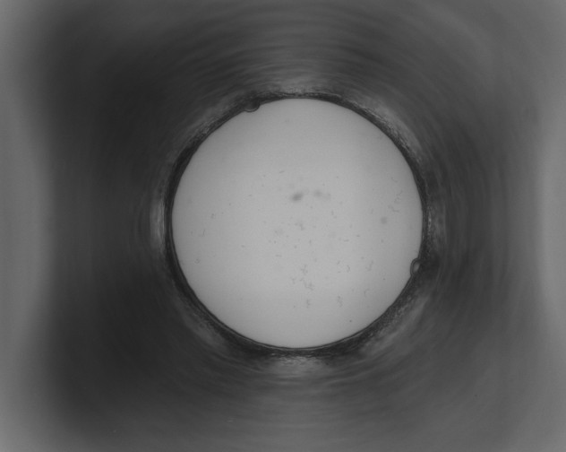 X0000100960397200807151403