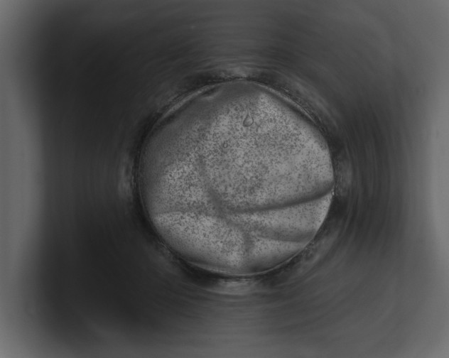 X0000100960414200807151402