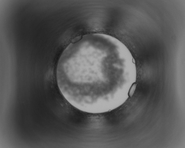 X0000100960415200807151402