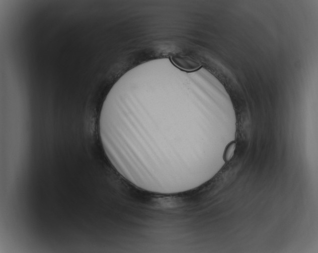 X0000100960417200807151402