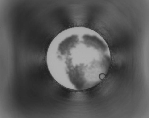 X0000100960419200807151402