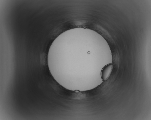 X0000100960421200807151402