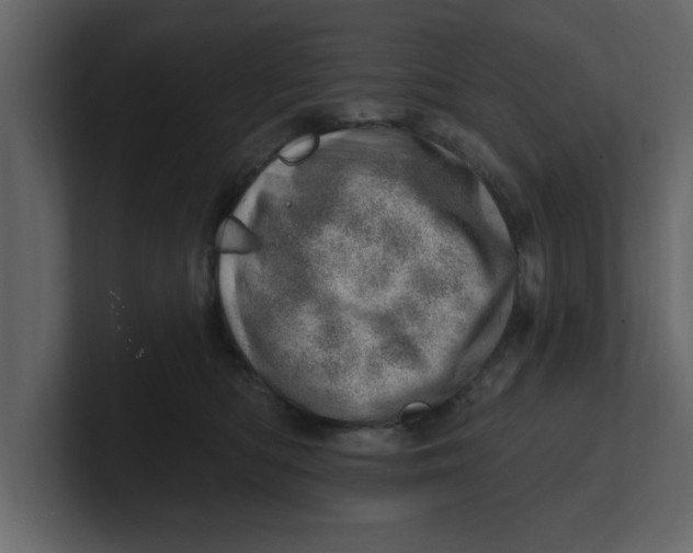 X0000100960422200807151402