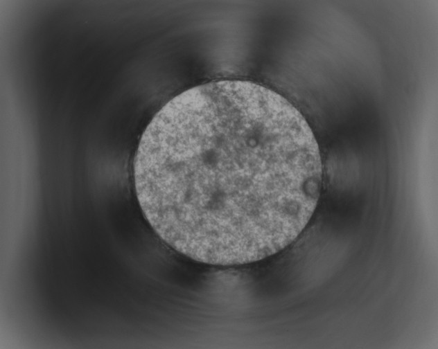 X0000100960423200807151402