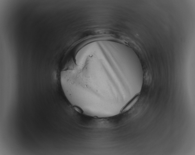 X0000100960424200807151402