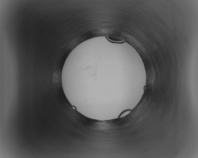 X0000100960425200807151402