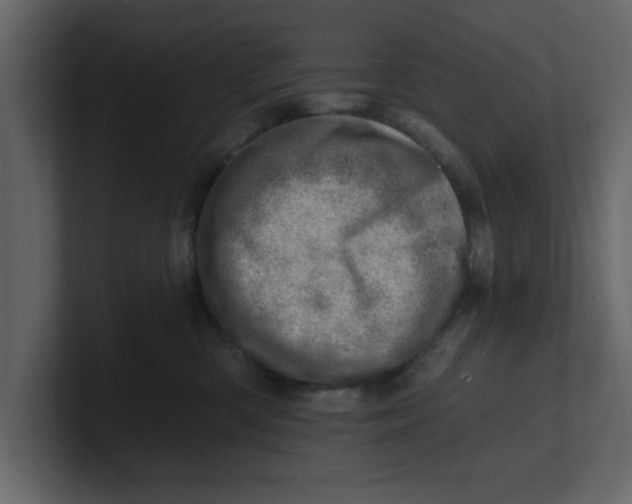 X0000100960426200807151402