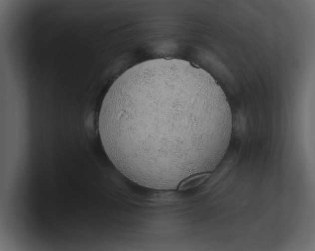 X0000100960428200807151402