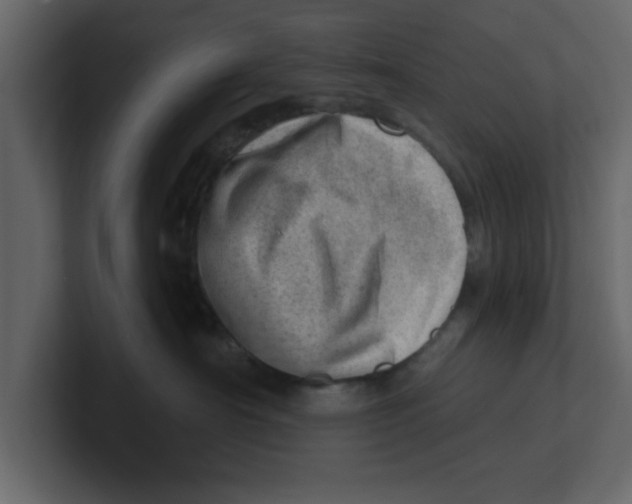 X0000100960430200807151402