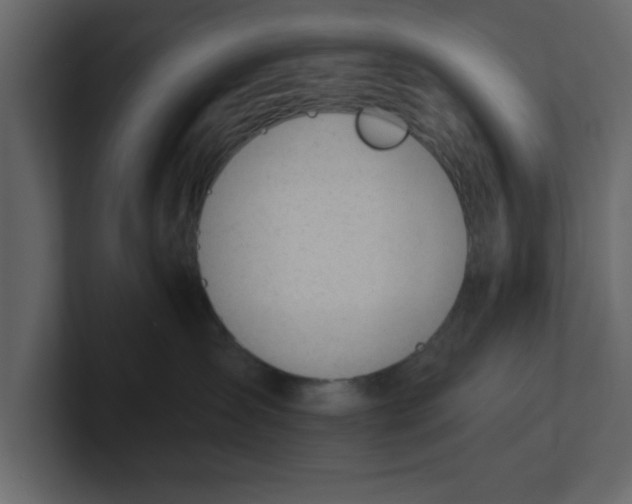 X0000100960431200807151402