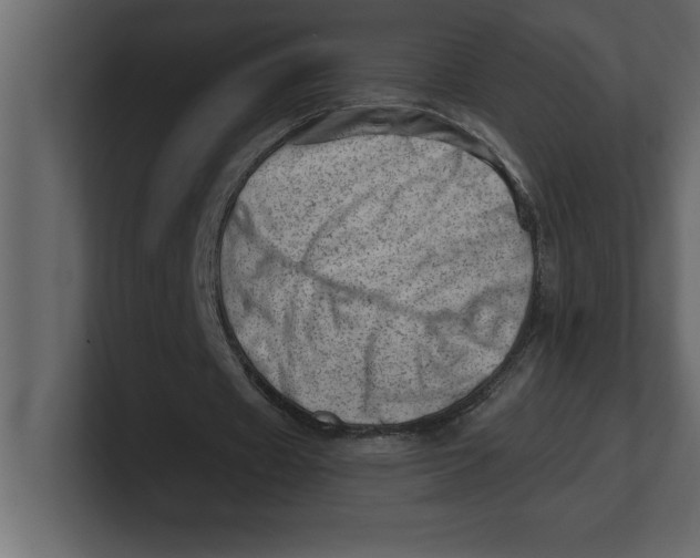 X0000100960433200807151401