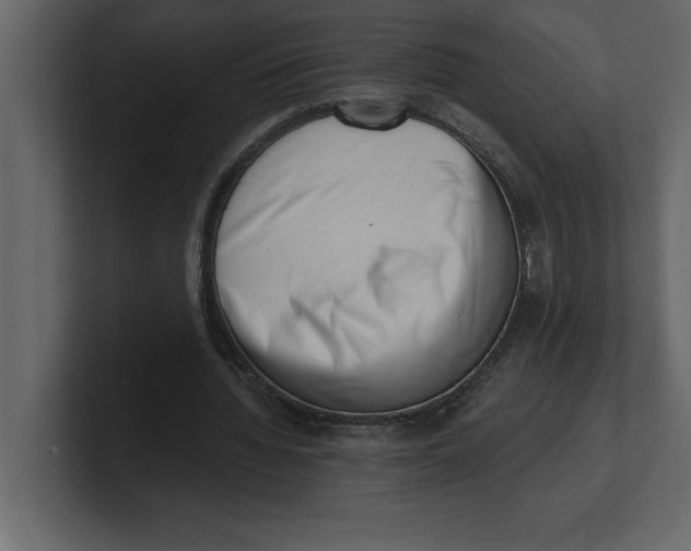 X0000100960436200807151401