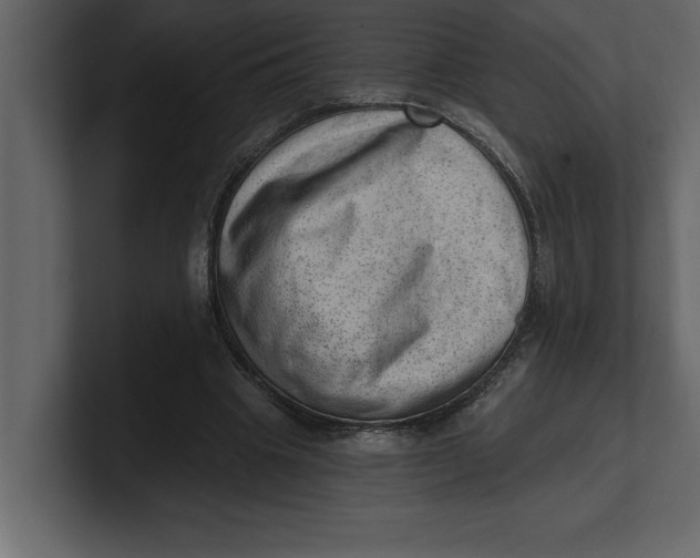 X0000100960441200807151402