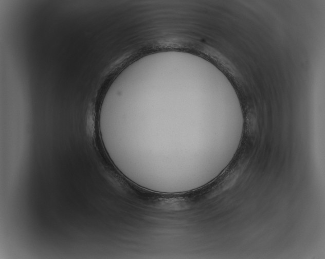 X0000100960446200807151402