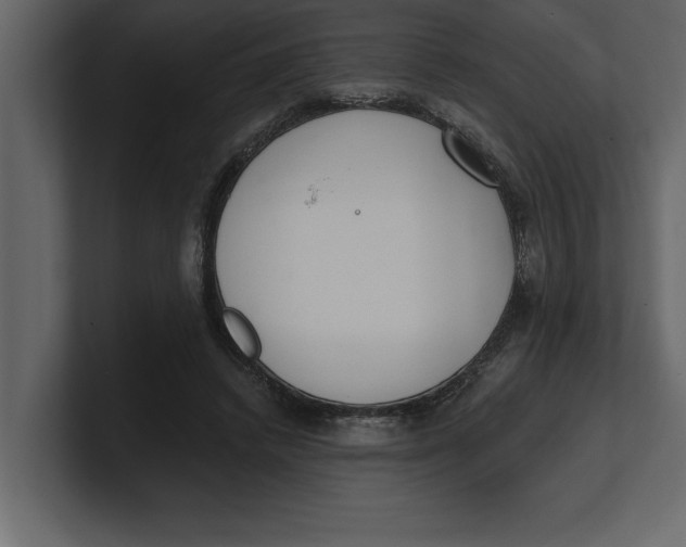 X0000100960448200807151402