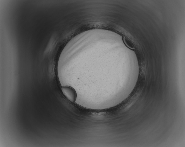 X0000100960450200807151402