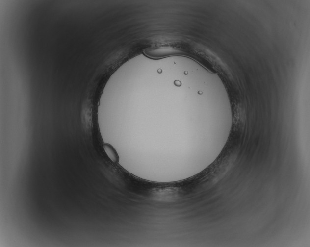 X0000100960452200807151402