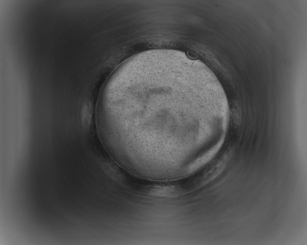 X0000100960458200807151402