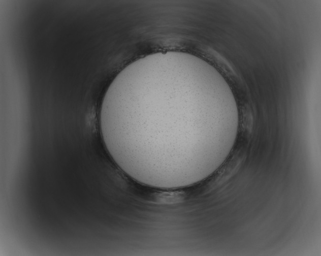 X0000100960465200807151402