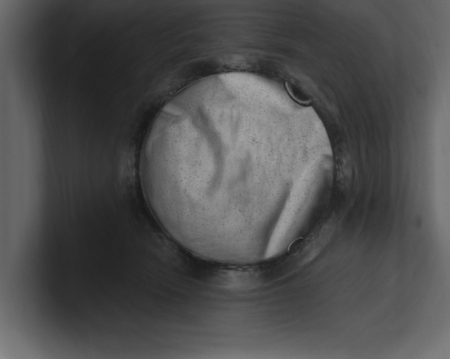 X0000100960466200807151402