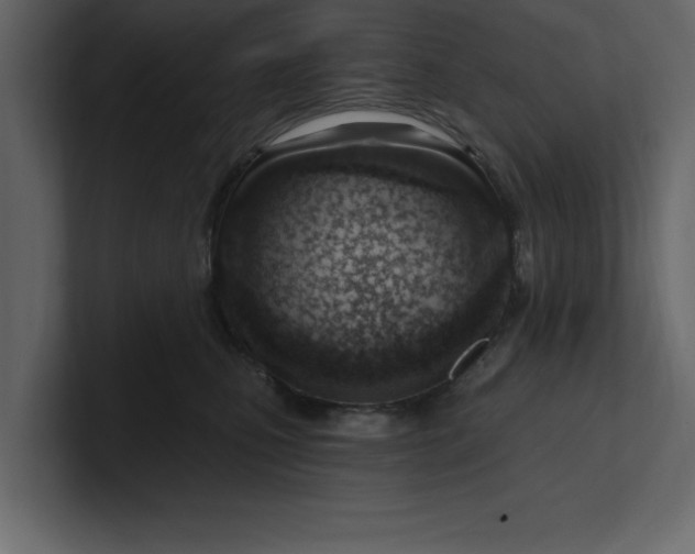 X0000100960471200807151402