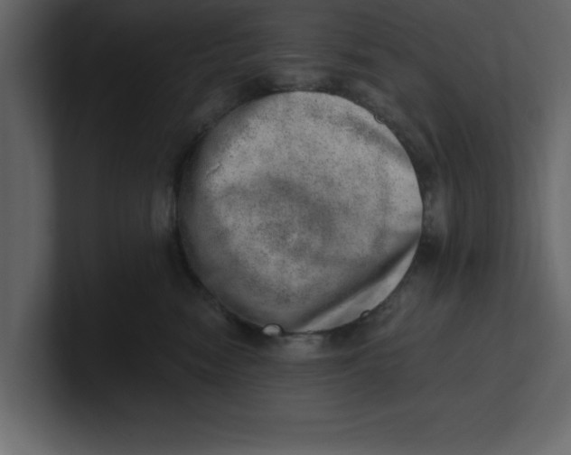 X0000100960474200807151402