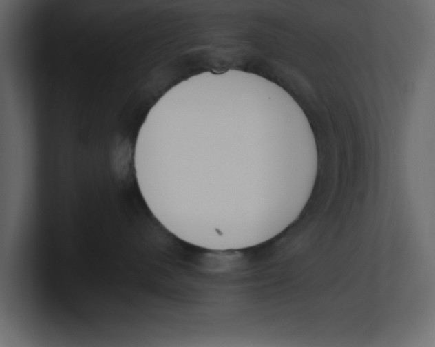 X0000100960480200807151402