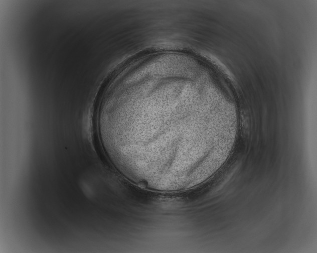 X0000100960487200807151401