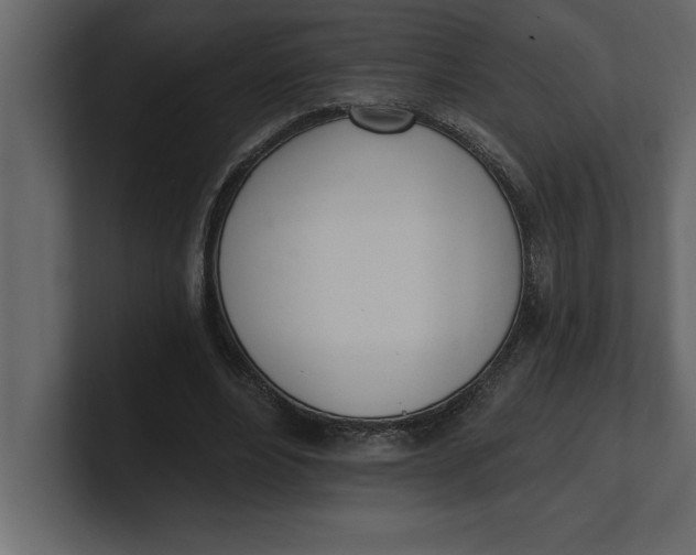 X0000100960488200807151401