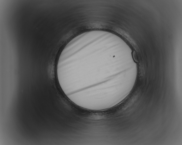 X0000100960489200807151401