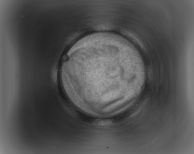 X0000100960491200807151401