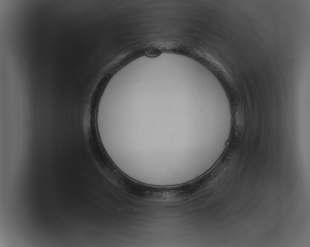 X0000100960492200807151401