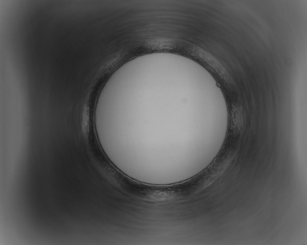 X0000100960494200807151401