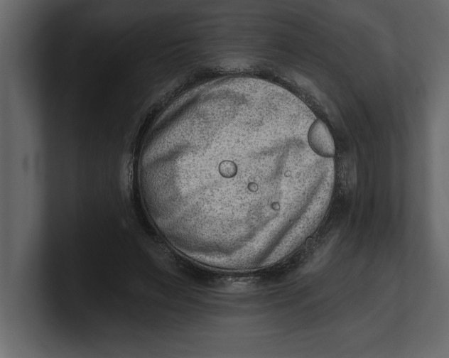 X0000100960495200807151401