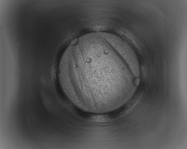 X0000100960499200807151401