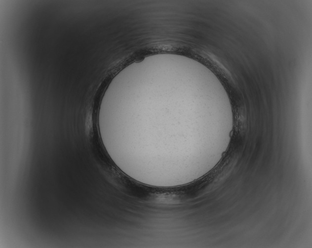 X0000100960500200807151401