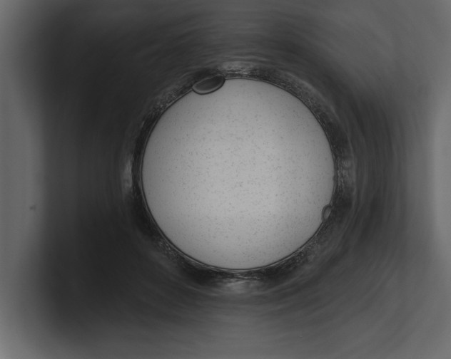 X0000100960504200807151401