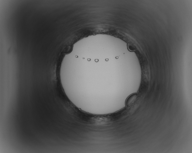 X0000100960512200807151401