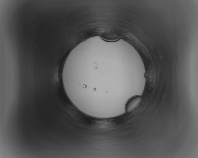 X0000100960516200807151401