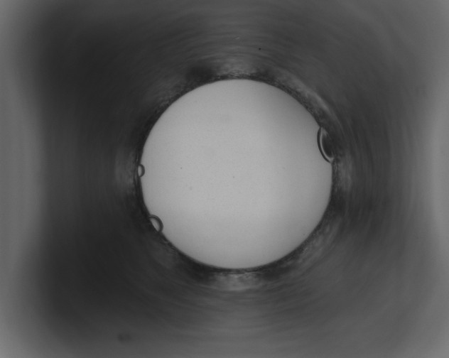 X0000100960517200807151401