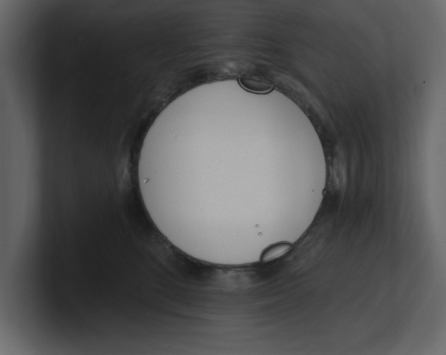 X0000100960520200807151401