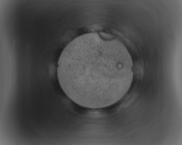 X0000100960523200807151401