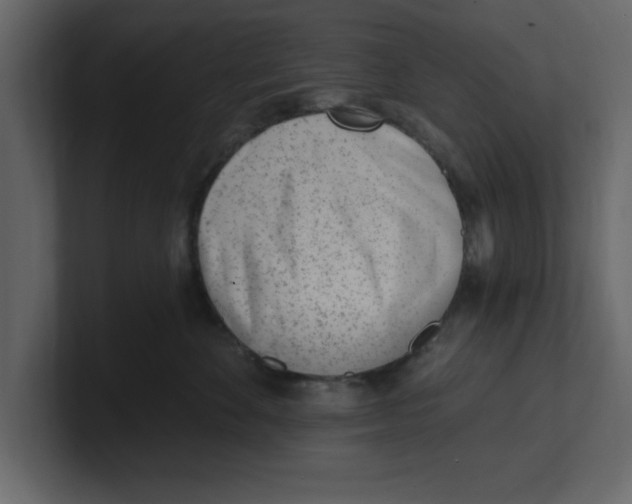 X0000100960524200807151401