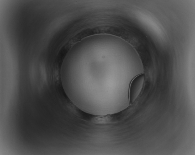 X0000100960526200807151401