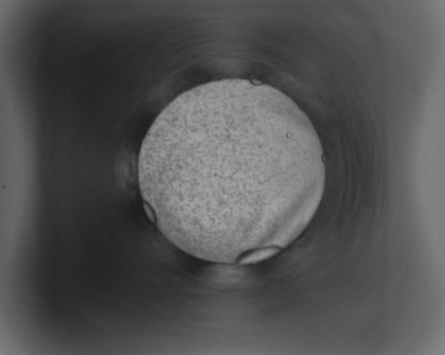 X0000100960528200807151401