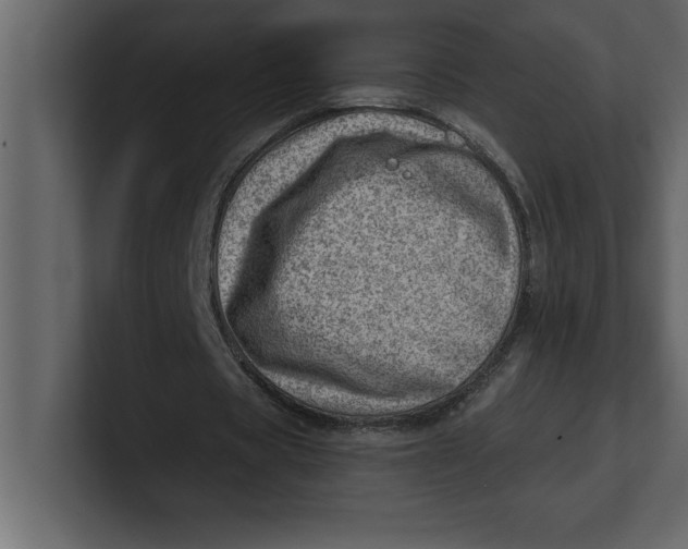 X0000100960529200807151400