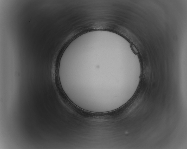 X0000100960530200807151400