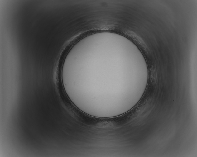 X0000100960536200807151400